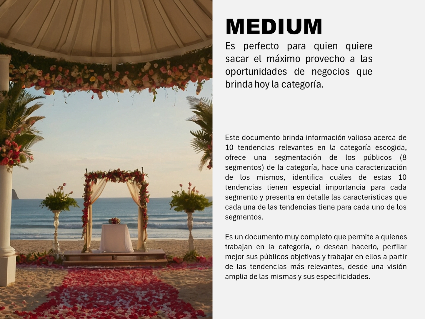 TENDENCIAS EN TURISMO ROSA (LGBTIQ+) 2024 - 2025
